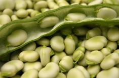 Ricetta - Fave 'ngrapiate